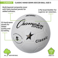 Classic Soccer Ball - Youth Sports Products